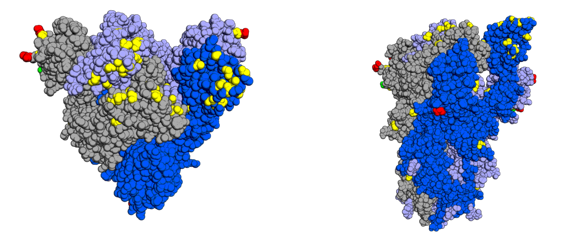 On the Treatment of Sars-Cov-2 Including Omicron Type | Auctores