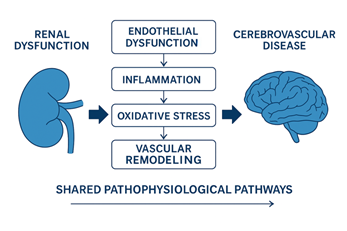 Pathophysiological Pathway.png