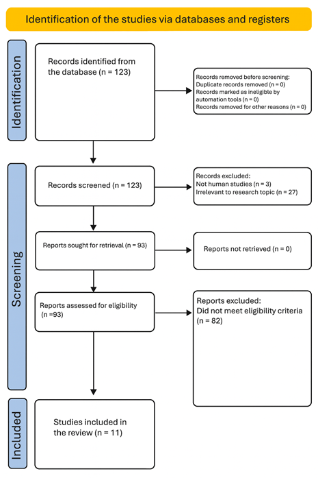 A diagram of a flowchart

AI-generated content may be incorrect.