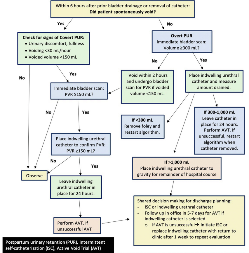 A flowchart of a patient

Description automatically generated