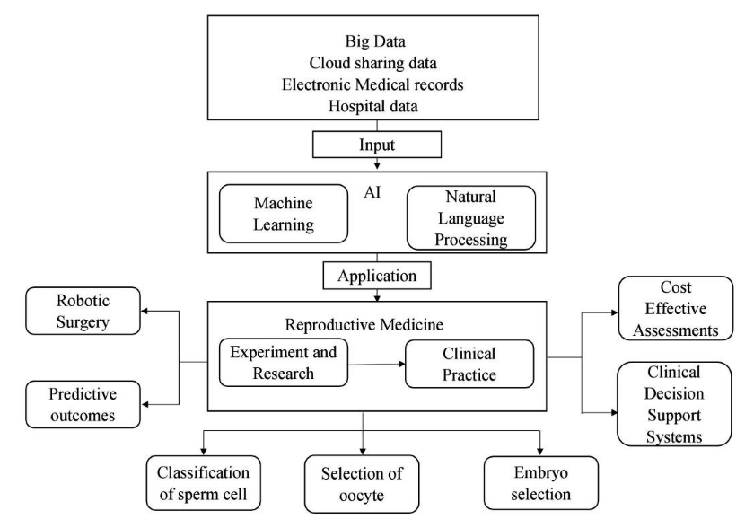 A diagram of a medical data processing process

Description automatically generated