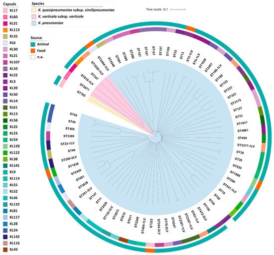 Pathogens 10 00573 g003 550